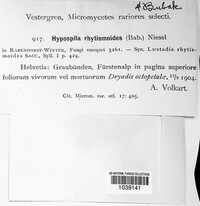 Image Associated With the Occurrence